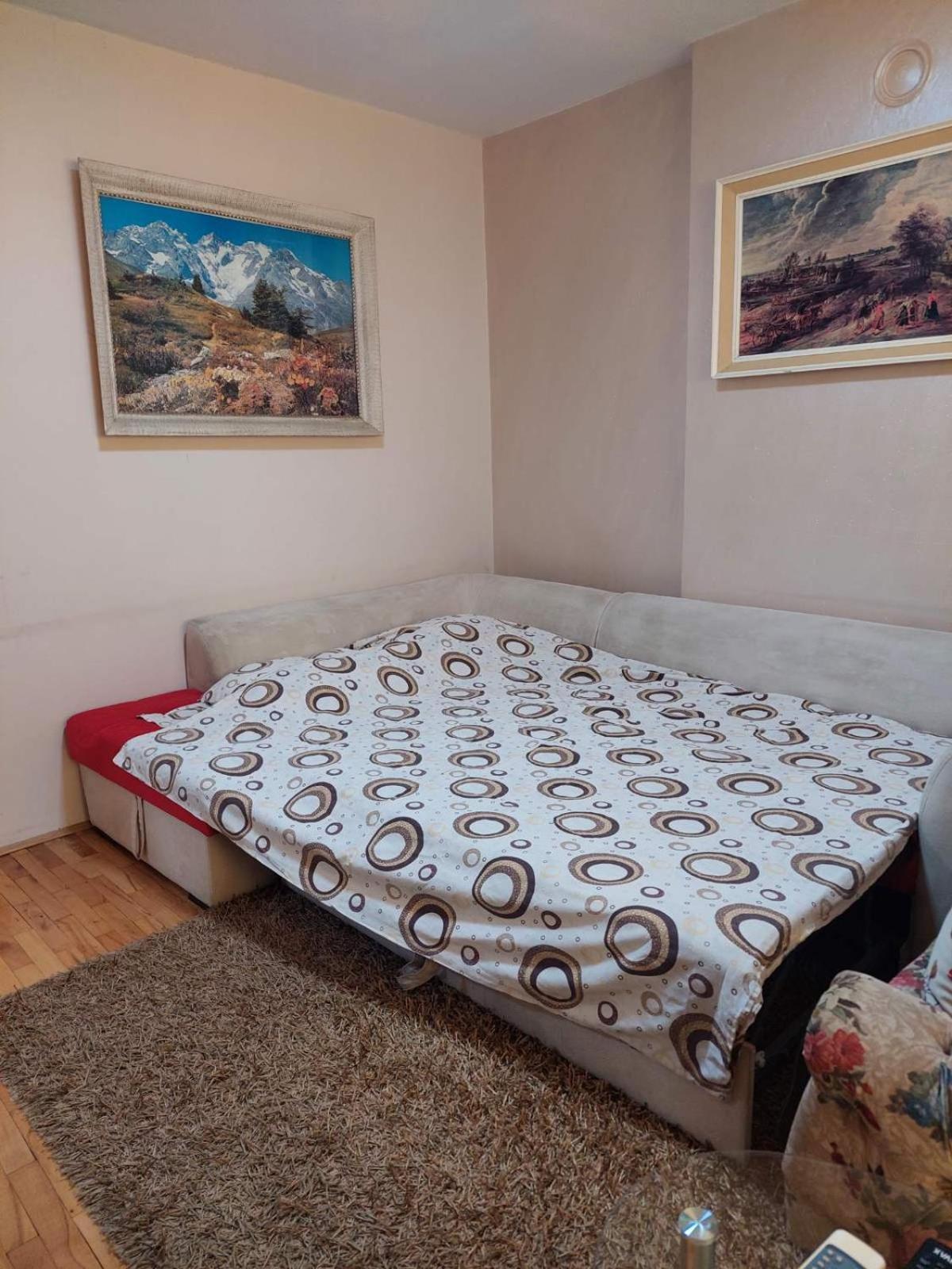 Apartment Vuk Podgorica Esterno foto